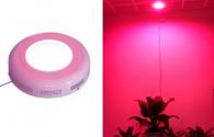 ¿Cuál es la función de LED Grow Lights?