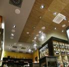 Luces LED PAR ENRLF-2P12WG53-01 en Eslovaquia